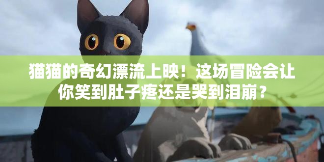 猫猫的奇幻漂流上映