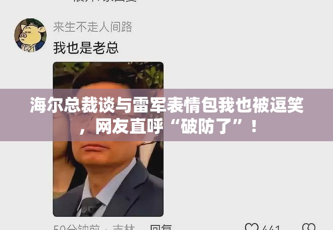 海尔总裁谈与雷军表情包：我也被逗笑