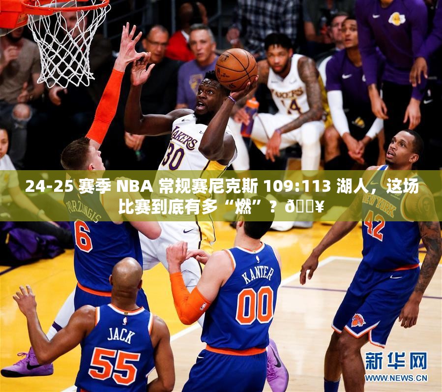 24-25 赛季 NBA 常规赛尼克斯 109:113 湖人