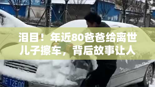 儿子离世 年近80爸爸给儿擦车