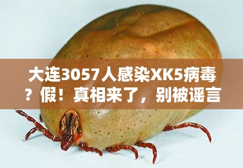 2025年3月 第74页