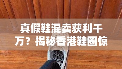 真假鞋混卖获利千万