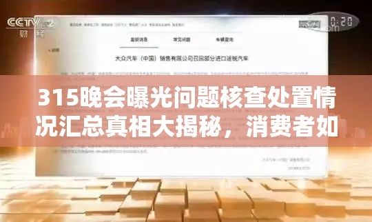 315晚会曝光问题核查处置情况汇总真相大揭秘，消费者如何避坑？