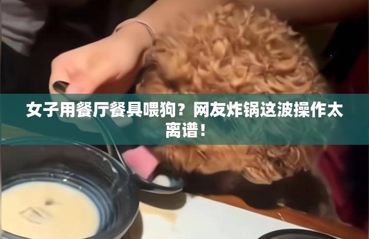 女子用餐厅餐具喂狗？网友炸锅这波操作太离谱！