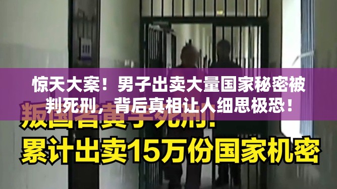 男子出卖大量国家秘密被判死刑