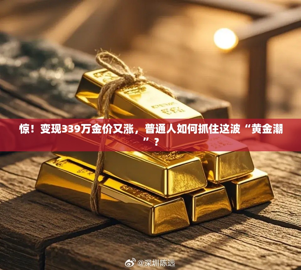 变现339万金价又涨