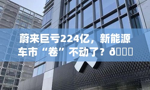 蔚来巨亏224亿