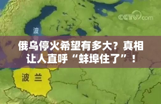 俄乌停火希望有多大？真相让人直呼“蚌埠住了”！